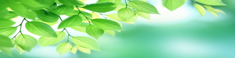 �E���g���v���e�C�����T�C�g